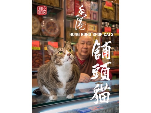 ‘香港舖頭貓 Hong Kong Cat Shops’  by Marcel Heijnen 