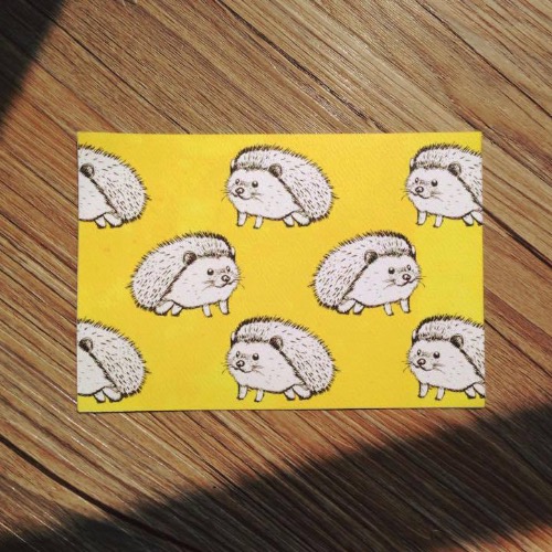【動物系列】忙碌的刺蝟明信片